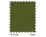 G8 Olive