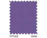 L6 Violet