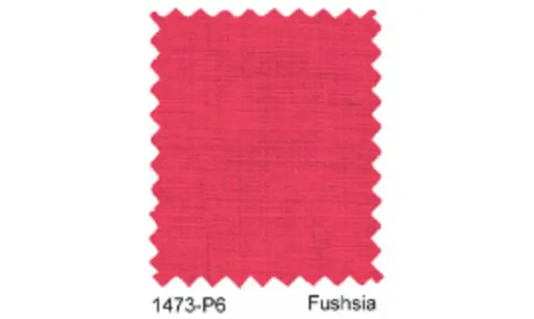 P6 Fushia