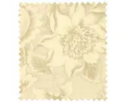 Sarah's story 31590-11