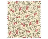 Sarah's story 31591-11