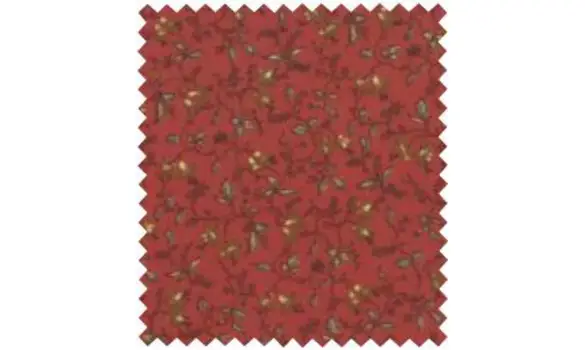 Sarah's story 31591-13