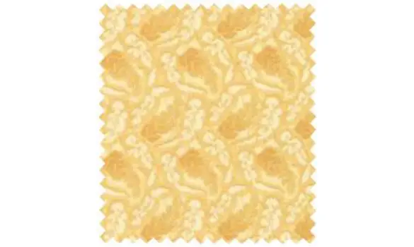 Sarah's story 31594-12