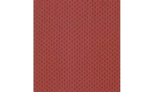 Sarah's story 31598-18