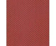 Sarah's story 31598-18