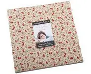 Sarah's story 1830-1850