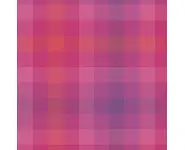 Plaid Magenta