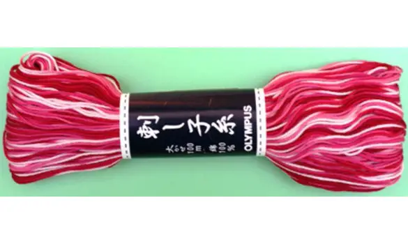 Echevau de 100m couleur dégradée n°152