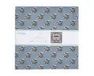 Sence and Sensibility