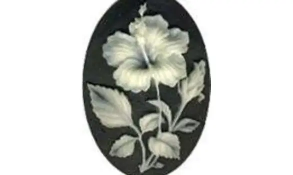 Aimant à aiguille 05