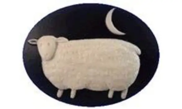 Aimant à aiguille 08