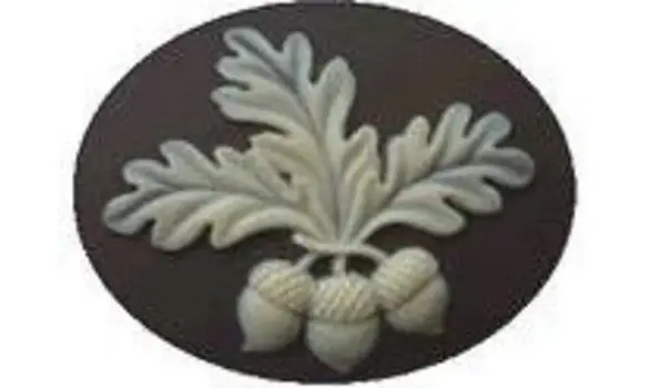 Aimant à aiguille 11