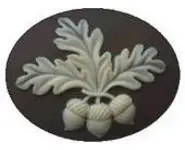 Aimant à aiguille 11