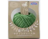 405 Vert Métallique